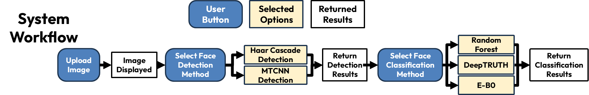 System Workflow Diagram