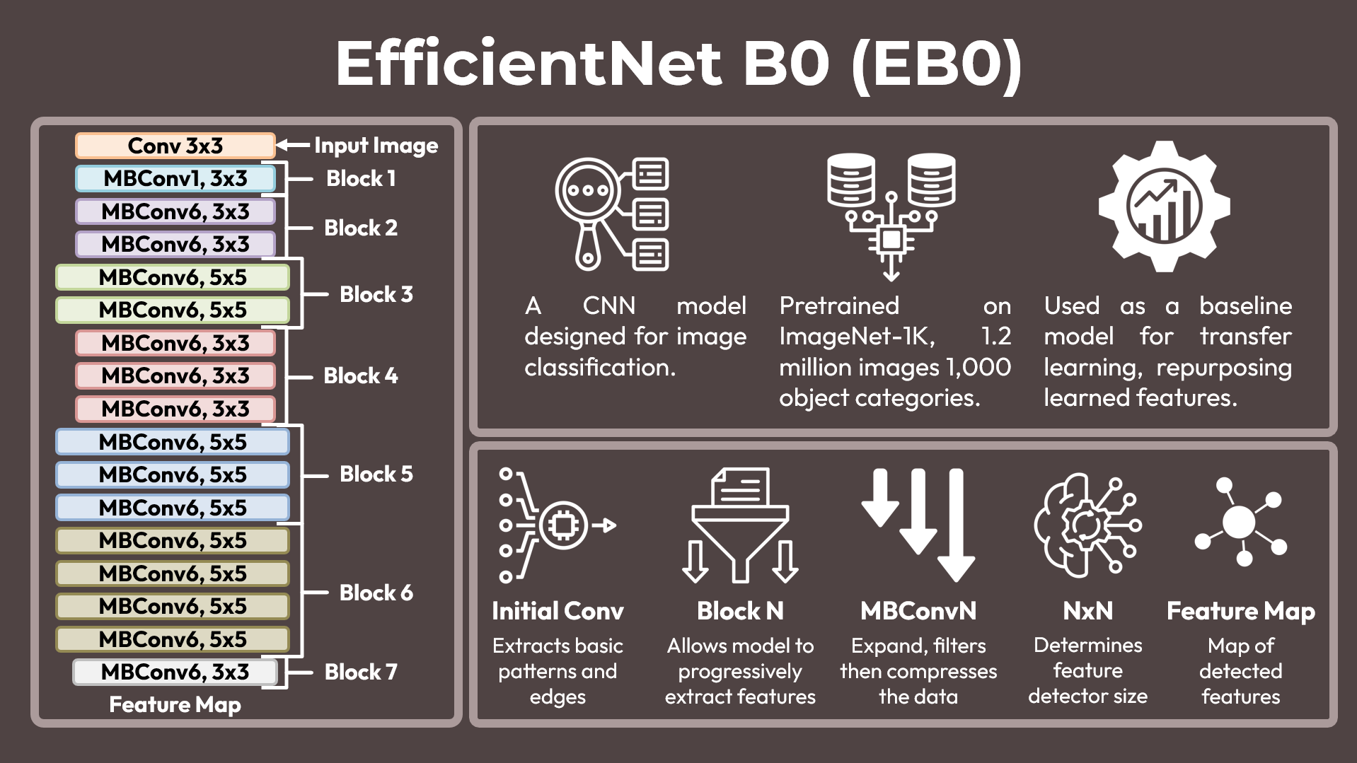 EfficientNet B0