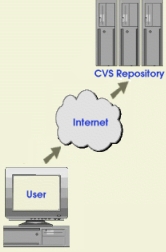 Section 1.1.1: What is CVS?