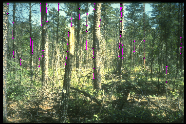 Example 1 for scheme 1