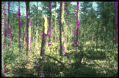 Example 1 for scheme 2