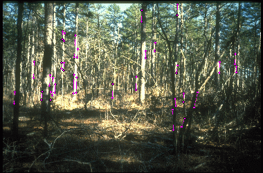 Example 2 for scheme 1