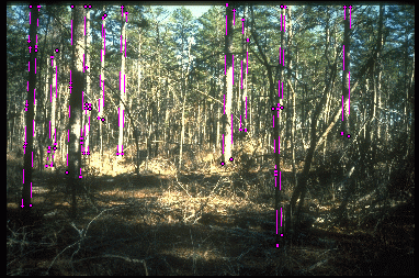 Example 2 for scheme 2