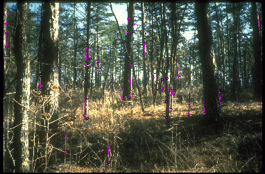 Example 3 for scheme 1