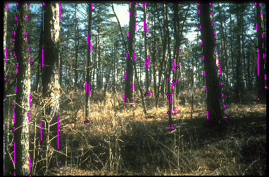 Example 3 for scheme 2