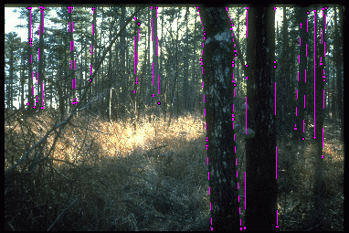 Example 4 for scheme 2