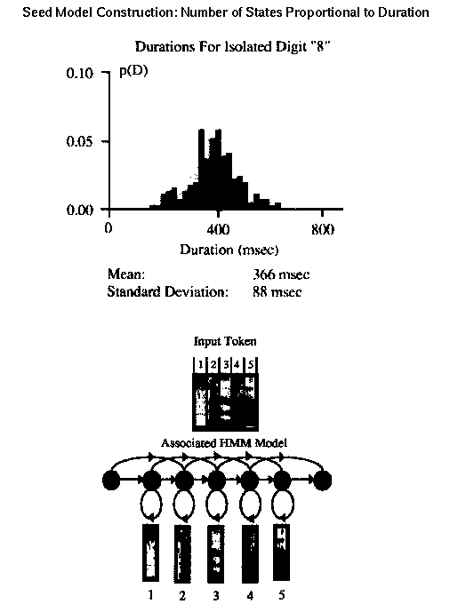Seed model construction