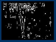 Forest image after edge detection